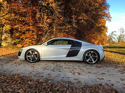 white and black coupe beside trees thumbnail