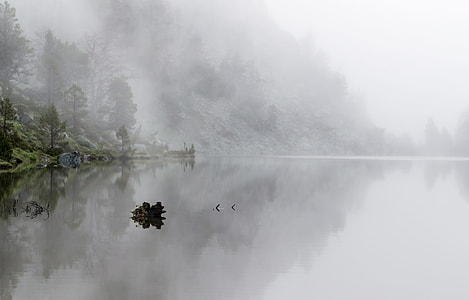 white fog on lake water thumbnail