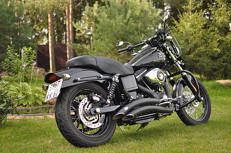 black standard motorcycle parked near the green leafed plant thumbnail