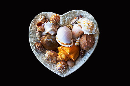 heart-shaped gray plate with seashells thumbnail