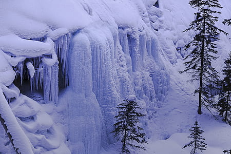 snow covered mountain and trees thumbnail