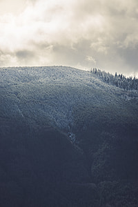 bird's eye photography of mountain covered grass thumbnail