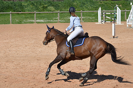 woman in blue long-sleeved shirt riding horse during daytime thumbnail