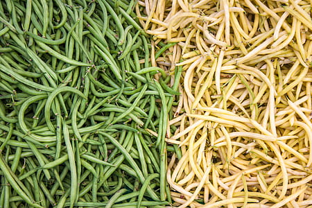 green and beige beans thumbnail
