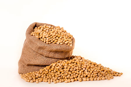 sack of seed thumbnail