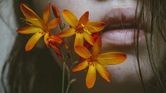 yellow flowers thumbnail