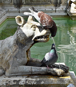 brown bird standing on statue thumbnail