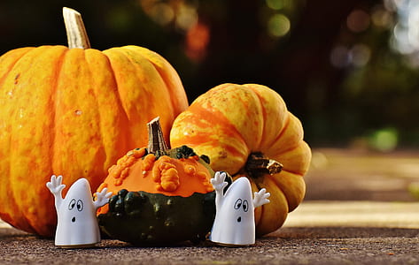 three orange pumpkins on the floor thumbnail
