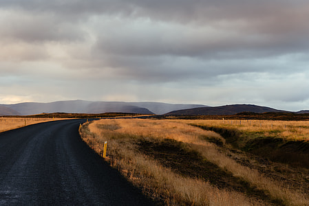 black asphalt road near dried grasses thumbnail