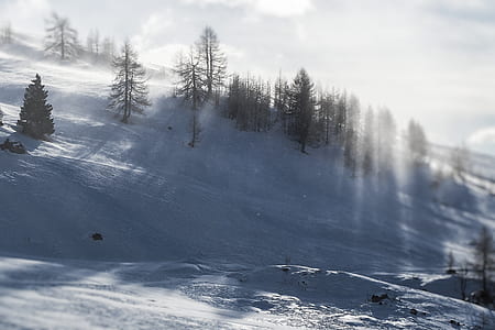 landscape photography of mountain with trees covered with snow thumbnail