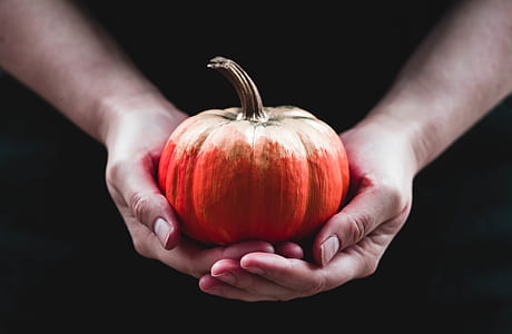 person holding pumpkin thumbnail