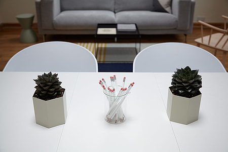 two succulent plants on table thumbnail