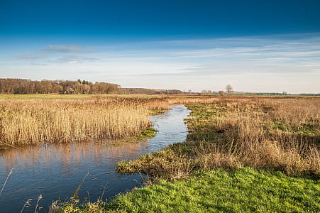 river between brown grasses thumbnail