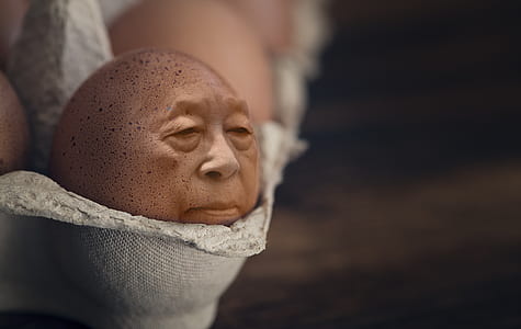 chicken egg on gray egg tray thumbnail
