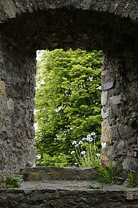stone gate near tree thumbnail