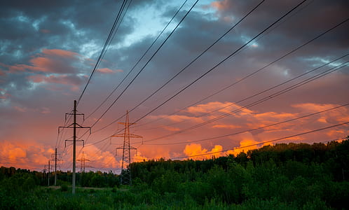 electric pylon surrounded by green trees thumbnail