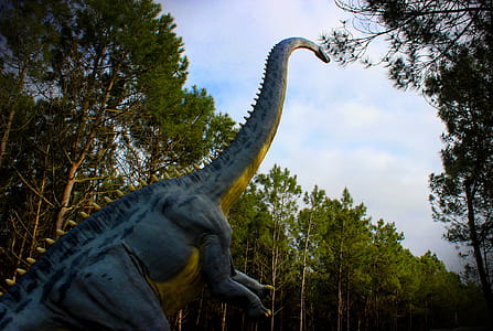 Diplodocus - Dinosaurs - Sauropods - Jurassic Period thumbnail