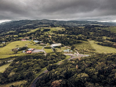 aerial photography of houses surrounded by green trees thumbnail