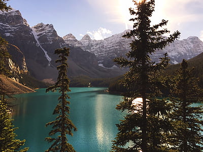 body of water surrounded trees with mountains during golden hour thumbnail