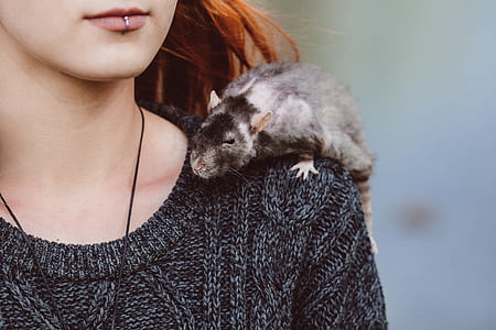 woman wearing knit sweater thumbnail