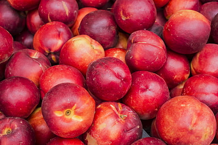 honeycrips apple lot thumbnail