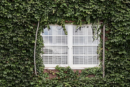 closed white glass-panel windowpane thumbnail