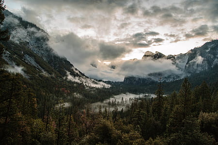 mountain covered with fogs surrounded with trees under white and gray cloudy skies at daytime thumbnail