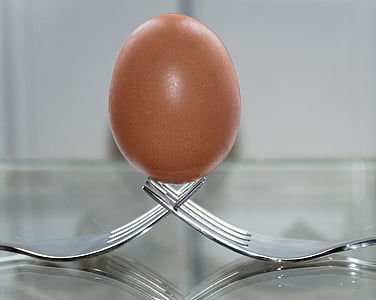 brown poultry egg on forks thumbnail