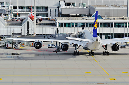 white and blue airplane in front on white concrete building thumbnail