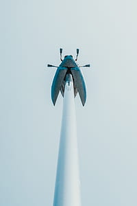 gray metal bug decor thumbnail