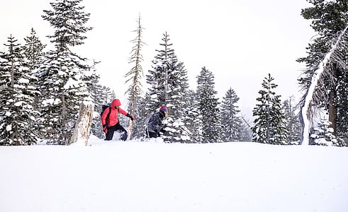 two people standing on snow field thumbnail