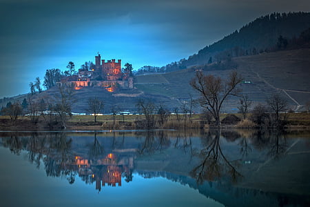 reflective photography of trees and castle thumbnail