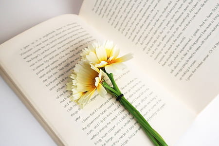 white and yellow flowers on top of white book thumbnail