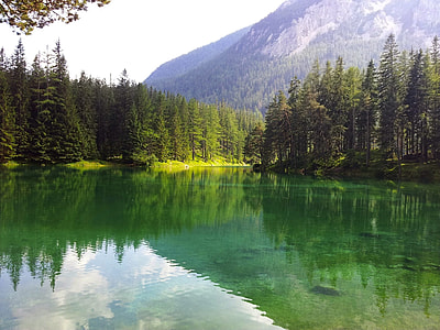 lake  surrounded of  green trees thumbnail