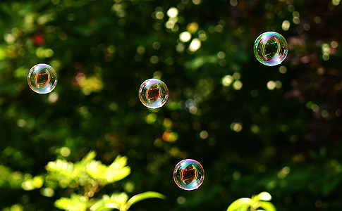 shallow focus photography of bubbles thumbnail