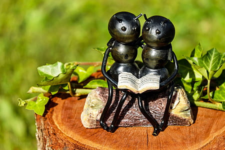 Shallow Focus Photography of Couple Ants Holding Book Figurine thumbnail