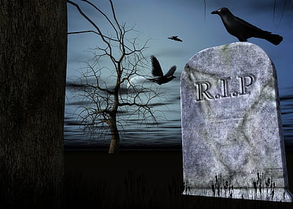 black bird on R.I.P. tomb thumbnail