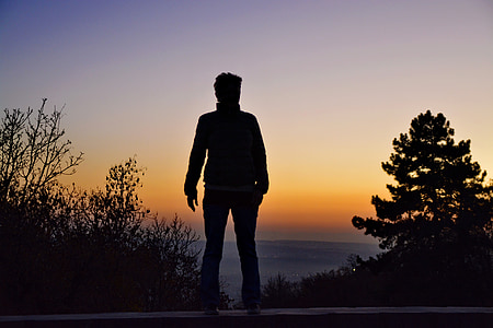silhouette of man standing thumbnail