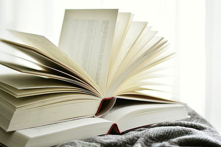 photo of two open books thumbnail