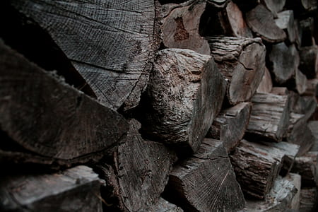 close-up photo of firewood log thumbnail
