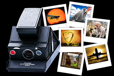 black Polaroid land camera beside six collage photos thumbnail