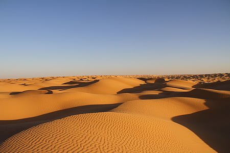 sand field thumbnail