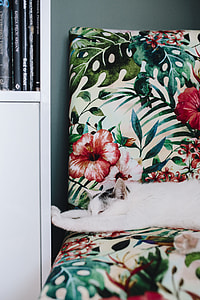 Essential element to support a wall unit - the cat thumbnail