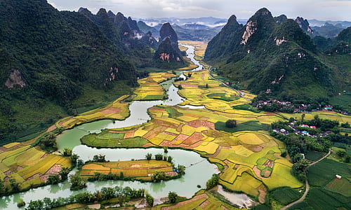 river in the middle of landscape photo thumbnail