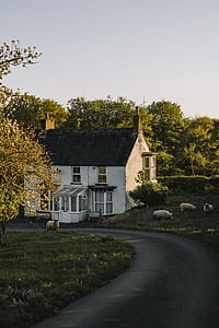 white and brown concrete house near trees during daytime photo thumbnail
