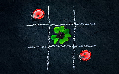red ladybug and green flower illustration thumbnail