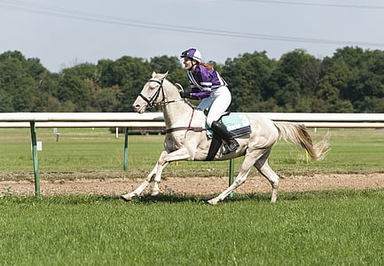 female jockey riding horse running on grass field thumbnail