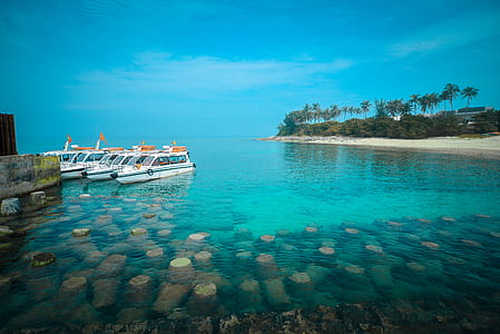 White Boats on Body of Water thumbnail