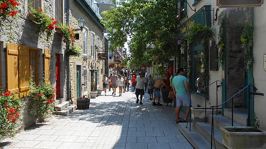 people walking on alley between buildings thumbnail
