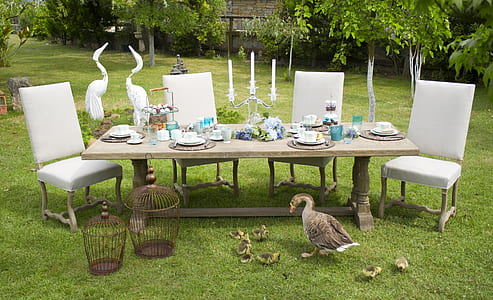 gray wooden table with four white parson chairs thumbnail
